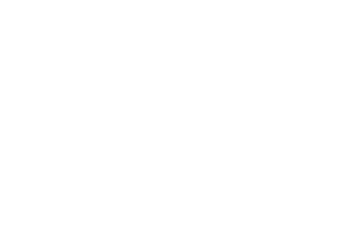 Salesforce Integration